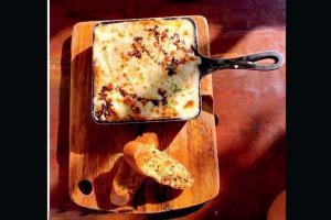 Lasagna lovin'