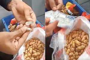 Man smuggles foreign currency worth Rs 45 lakh in peanuts, meatballs