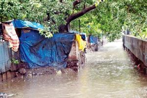 Will gate pumps stop Mumbai from flooding?