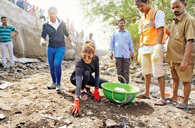 Esha Gupta is hands-on at a Carter Road mangroves clean-up. Pic/Shadab Khan