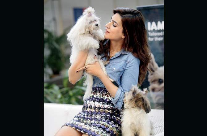 A pooch gives a longing look to actor Kriti Sanon as she cuddles another dog at a pets event in Mahalaxmi. Pic/Ashish Raje