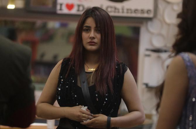 A tiff with Salman Khan ruined Shehnaaz Gill's Sunday. The Punjabi singer had a war of words with the host, who refused to engage in a conversation with her despite her apology. She decided to break all ties with the housemates and stayed isolated all day. After spending the whole day alone, Shehnaaz tried to reunite with Sidharth.