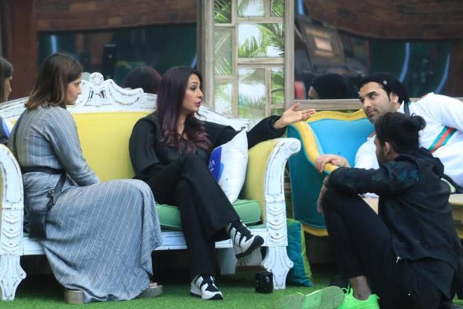 Bigg Boss season 1 contestant Kashmera Shah came back to the house as Arti Singh's connection. In a shocking turn of events, Kashmera called Shehnaaz fake and said that #SidNaaz was finished outside. She also said that #FakeNaaz was the new thing, as was #SidArti.