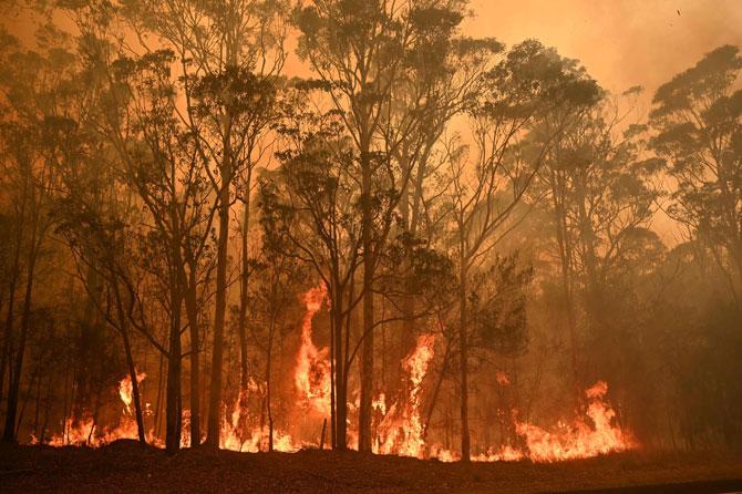 Massive bushfires have flared up in southeast Australia in a months-long crisis, killing nearly half a billion native animals in New South Wales state alone along with 20 deaths reported and with more than hundreds of properties destroyed so far.