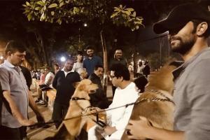 Raj Thackeray plays with dogs, interacts with children at Shivaji Park
