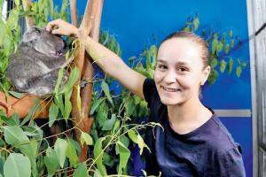 Australia tennis star Ashleigh Barty visits injured koalas in Brisbane