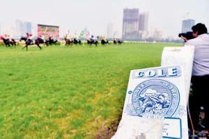 Galloping to a century