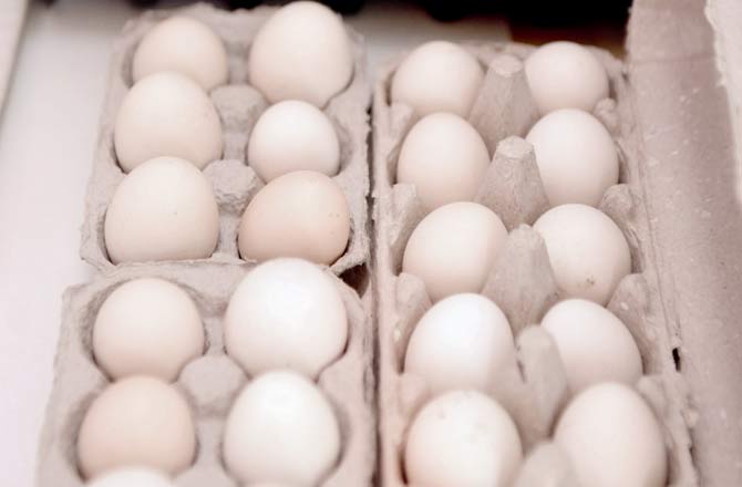 Kadaknath eggs