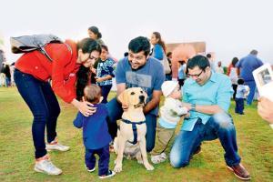 Pawsitive in Parel