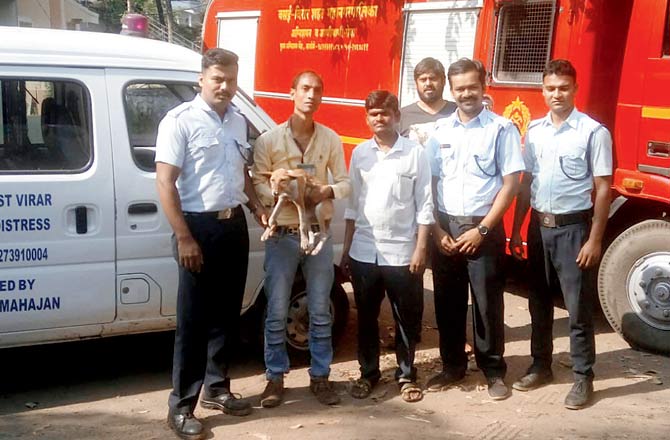 The fire brigade officers and members of Karuna Trust with the rescued pup