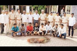 Eight arrested for setting up traps in Shahpur forest