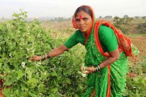 Padma Shri: 'Beej mata' wants seed movement to reach every farmer
