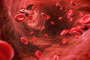 Study reveals women's blood vessels age faster than men's