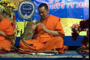 Internet is in love with cat trying to cuddle praying monk