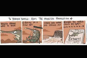 Green Humour: Comic Strip By Rohan Chakravarty