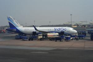 IndiGo pilot threatens flyer, her elderly mother