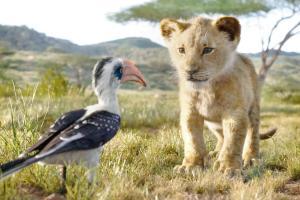 Love Bytes: The best of things to do in twos