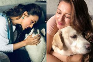 Mimi Chakraborty is a dog-mom of two and her pets are her lifeline