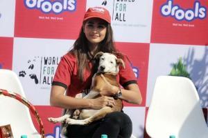 Pooja Hedge would love working in a film with animals