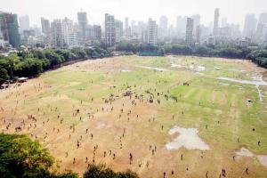Will Mumbai get a greener, dust-free Shivaji Park soon?