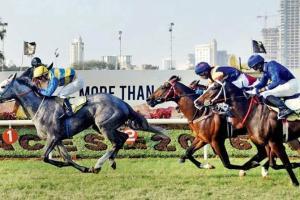 Notoriety may face challenge from older rivals