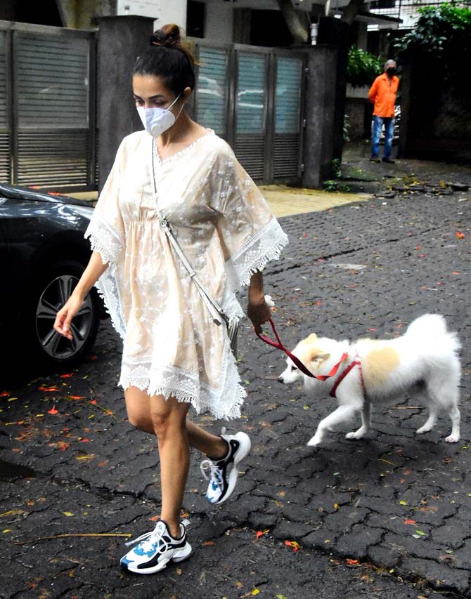 Malaika Arora stepped out of the house taking all the precautions to avoid getting in touch with the virus of the pandemic.