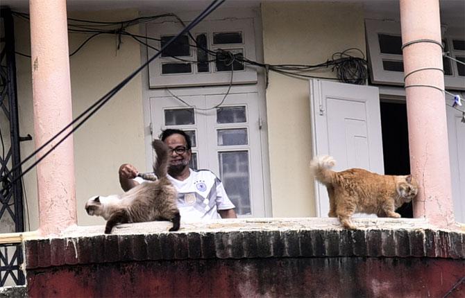 In photo: A man plays with his cats at his residence in Bandra while enjoying the pleasant weather.