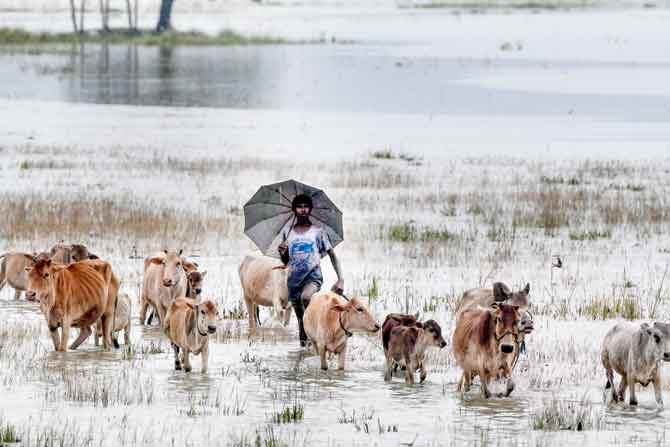A man braces the floodwaters in Morigoan,  Assam. PIC courtesy/AFP  
