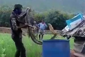 15-feet-long King Cobra rescued in Tamil Nadu, Twitterati amazed