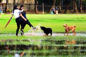 Mumbaikars share pictures of rainfall as city witnesses heavy downpour