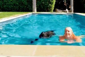 Vonn asks Phelps to watch out as she trains pet dog for 'Olympics'