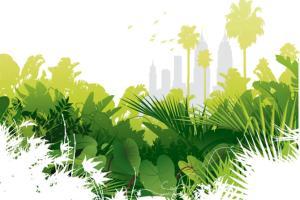 Urban jungle