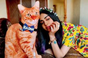 Adah Sharma's stuffed toy cat, Radha to be part of web series