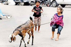 State govt issues guidelines to keep Bakrid as low-key as Ramazan Eid