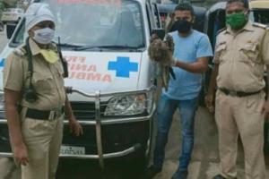 Mumbai Police rescues injured bird while patrolling, wins hearts online