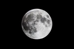 Bodh Gaya resident buys land on moon