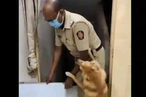 Viral video: Ecstatic pet dog welcomes Mumbai cop home