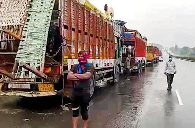 Some of the trucks carrying the livestock stranded at the border of Maharashtra-Gujarat