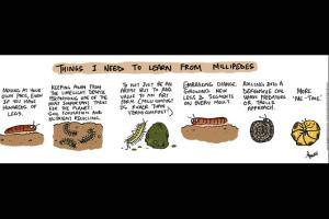 Green Humour: Comic Strip By Rohan Chakravarty