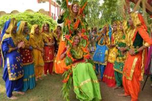 Hariyali Teej 2020: Significance, folklore behind the 'green festival'