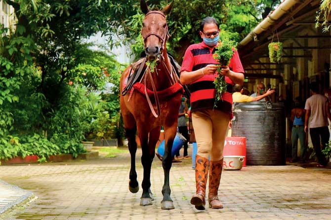 Suresh Tapuria, an avid equestrian, with his Argentine thoroughbred at the Amatuer Riders’ Club. The 74-year-old owns six horses at the  club