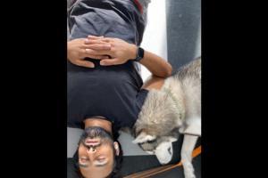 Pulkit Samrat meditates with his dog, Kriti Kharbanda captures them