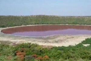 Lonar lake turned pink due to 'Haloarchaea' microbes, reveals probe