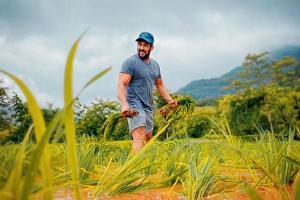 Mere desh ki dharti! Salman Khan takes up farming at his Panvel house