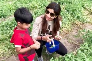 Shilpa Shetty Kundra turns vegetarian, shares video with fans