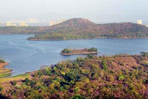 Mumbai Rains: Water level in lakes reaches five-year low