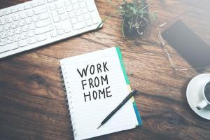 Government extends work from home norms for IT, ITes companies