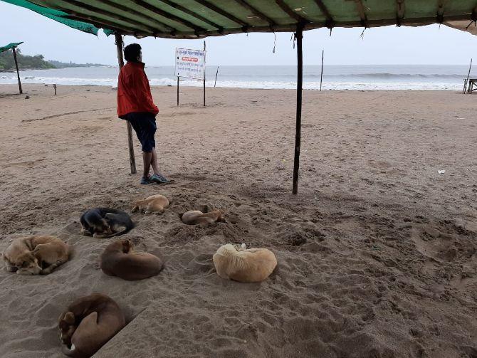 As predicted by the India Meteorological Department (IMD), Mumbai and several parts of Maharashtra received heavy to very heavy rainfall. In its bulletin, the weather agency had said that the landfall process started at 12.30 pm and got completed in the next 3 to 4 hours.