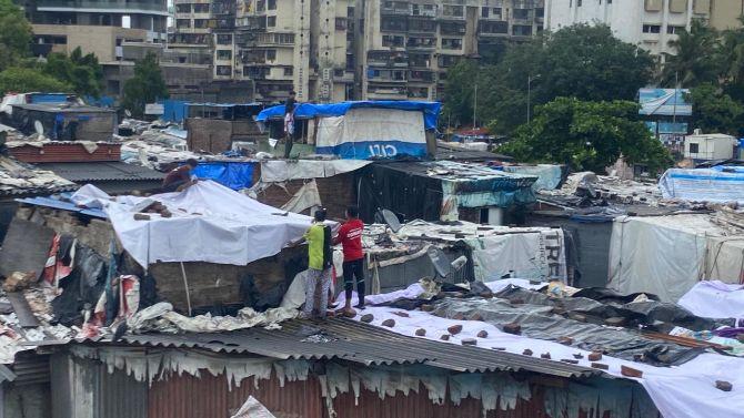 According to initial information, at least 37 incidents of trees being uprooted were reported from places including Mumbai Central, South Mumbai, Kalachowki, Byculla, and Bandra among others. In a shocking incident, a few people were seen rushing to collect the palm fruit after the Sugar palm tree was uprooted at Jogeshwari-Vikhroli Link Road.