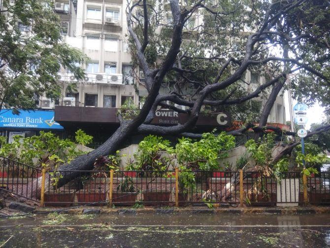 Throughout the day, Mumbai Police personnel and lifeguards were seen patrolling the city's coastline to avoid people from venturing near the sea.
In photo: A huge tree uprooted due to the gusty winds of cyclone Nisarga at Nariman Point in South Mumbai.
